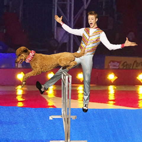 Wesley Williams Puppy Pals Dog Stunt Show