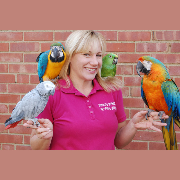 Wildlife Wendy Tropical Bird Show Act